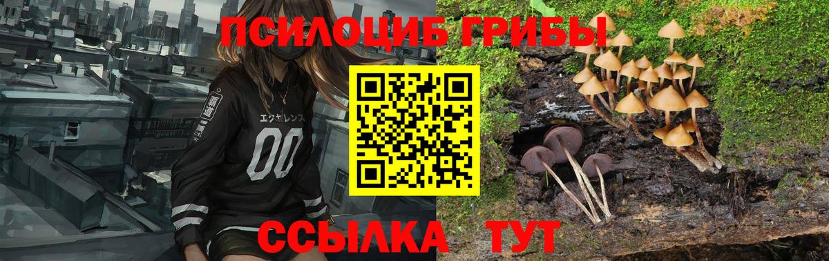 купить закладку  Галлюциногенные грибы прущие грибы  Вход с VPN  Кисловодск 
