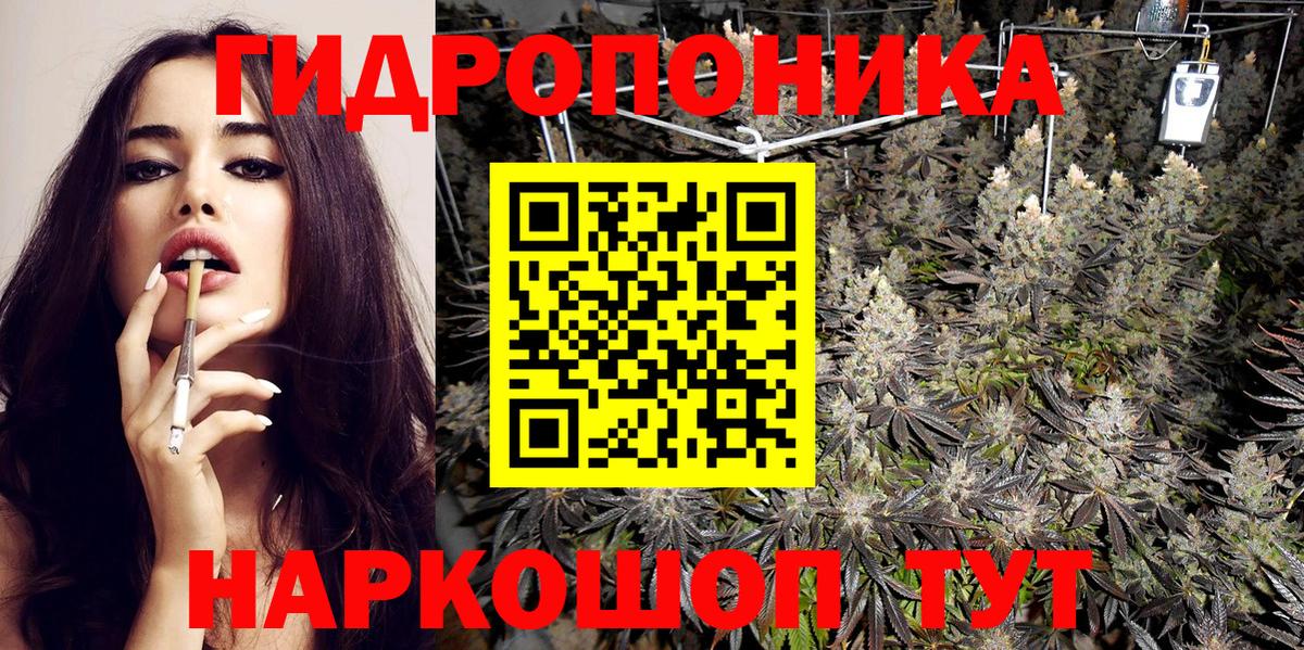 Каннабис индика  Каннабис ГИДРОПОН  Каннабис ГИДРОПОН  Кисловодск  Вход с VPN 